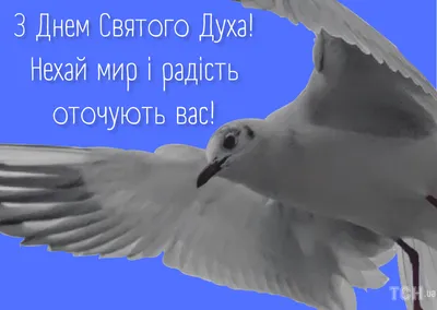 Поздравления в День Святого Духа: картинки на украинском языке — Украина —  tsn.ua картинки