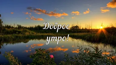 Видеооткрытка Доброе утро! С Добрым утром! Доброго всем утра! Хорошего  настроения! Лето Пожелания Тепло Природа картинки