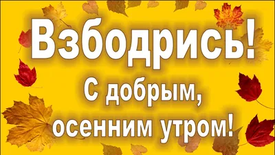 Прикольные картинки с добрым утром сентябрь картинки