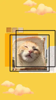 Cat wallpaper yellow aesthetic | Пушистые котята, Милые котики, Обои с  собаками картинки