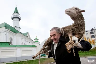 Курбан-байрам: традиции, суть праздника и подготовка, фотографии. картинки