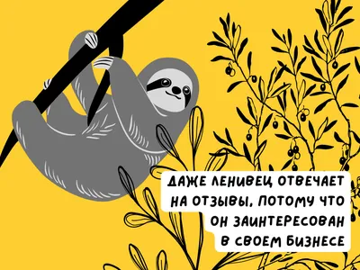 Как работа с позитивом влияет на бизнес? Учимся отвечать на положительные  комментарии | Faros.Media — все о репутации | Дзен картинки