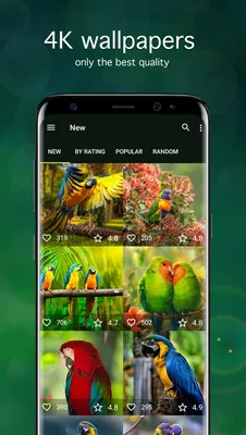 Скачать Обои с попугаями | Попугаи от 7Fon MOD APK v5.5.93 для Android картинки