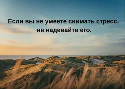 Прикольные статусы на все случаи жизни для социальных сетей: 50+ вариантов картинки