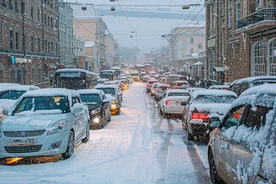 Снегопада картинки