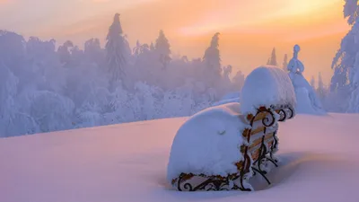 Скамья после обильного снегопада - обои для рабочего стола, картинки, фото картинки