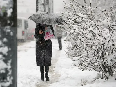 Мокрый снег и дождь принесет на выходных в Беларусь циклон с Балтики -  24.02.2023, Sputnik Беларусь картинки