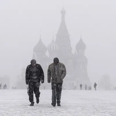 Москвичей предупредили о надвигающихся метелях - РИА Новости, 18.02.2023 картинки