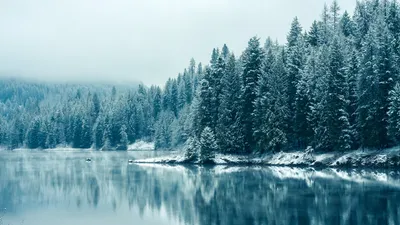 Обои лес, Британская Колумбия, зима, отражения, снегопада, British  Columbia, reflections, природа, озера, Snowfall, деревья, forest, winter,  trees, nature, lakes на рабочий стол картинки