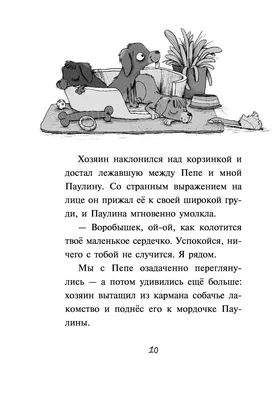 Первое дело таксы» Фрауке Шойнеманн - купить книгу «Первое дело таксы» в  Минске — Издательство Эксмо на OZ.by картинки