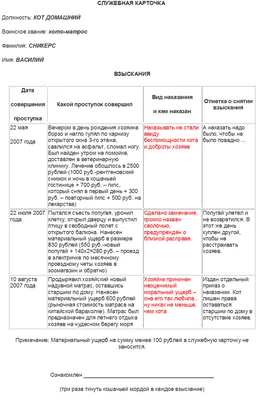 Дисциплинарная практика для котов | Fishki.net картинки