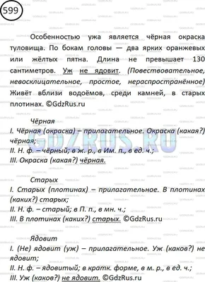 Номер №599 - ГДЗ по Русскому языку 5 класс: Ладыженская Т.А. картинки