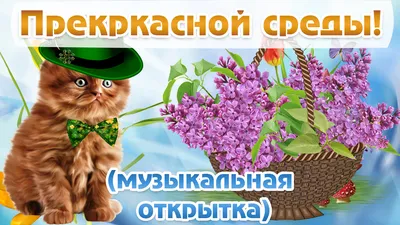 Удачной Среды! Перкарасного Настроения! Красивое пожелание. Музыкальная  открытка. - Скачать бесплатно на otkritkiok.ru картинки