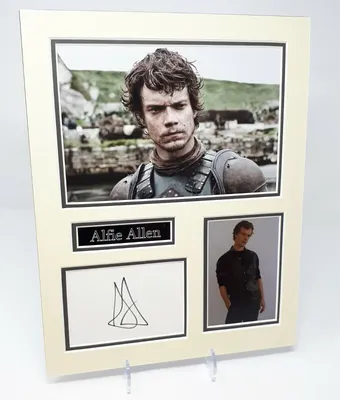 Альфи АЛЛЕН подписал смонтированный фотовыставка AFTAL COA Theon Greyjoy Game Of Thrones | eBay картинки