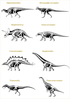 Динозавры онлайн dinosaurs, бесплатно динозавры хищные, фото динозавры  юрского периода, доисторические динозавры в картинках, самый большой  динозавр, виды динозавров энциклопедия, скелет динозавра, названия  динозавров эпоха, ихтиозавры, плезиозавры ... картинки