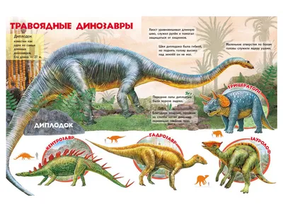 Купить Детская книга Моя первая книжка. О динозаврах. Пегас 9789669135384  недорого картинки