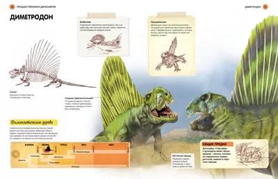 Всё о динозаврах. Энциклопедия - Бук-сток картинки