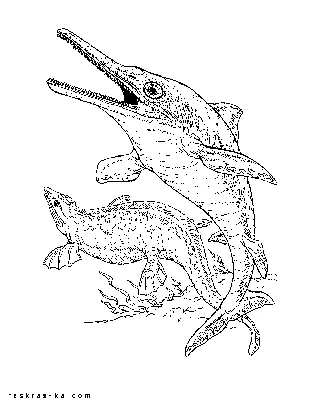 Раскраски водные динозавры - ихтиозавр и плиозавр картинки