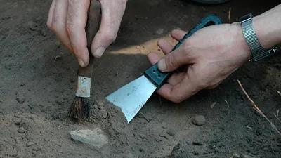 В Марокко нашли останки водоплавающего динозавра - Рамблер/новости картинки