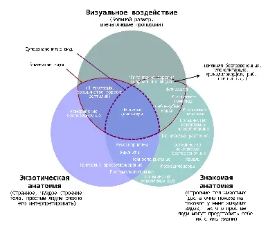 Сборник тезисов работ участников Всероссийского Форума \"Мы гордость Родины\"  декабрь 2019 by mail6993 - Issuu картинки