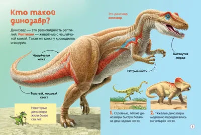 Обучающая подборка ? фото динозавров с названиями для детей картинки
