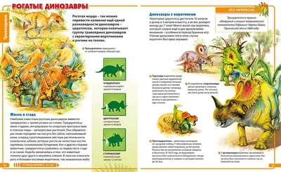 Динозавры-невероятные создания прошлого.Детская энциклопедия(МЕЛОВКА) -  купить по выгодной цене | AliExpress картинки