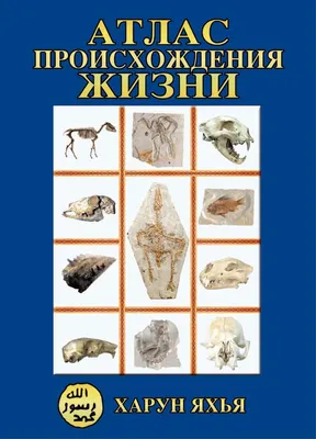 Атлас Происхождения Жизни (Часть 2) by Harun Yəhya (Харун Яхъя) - Issuu картинки