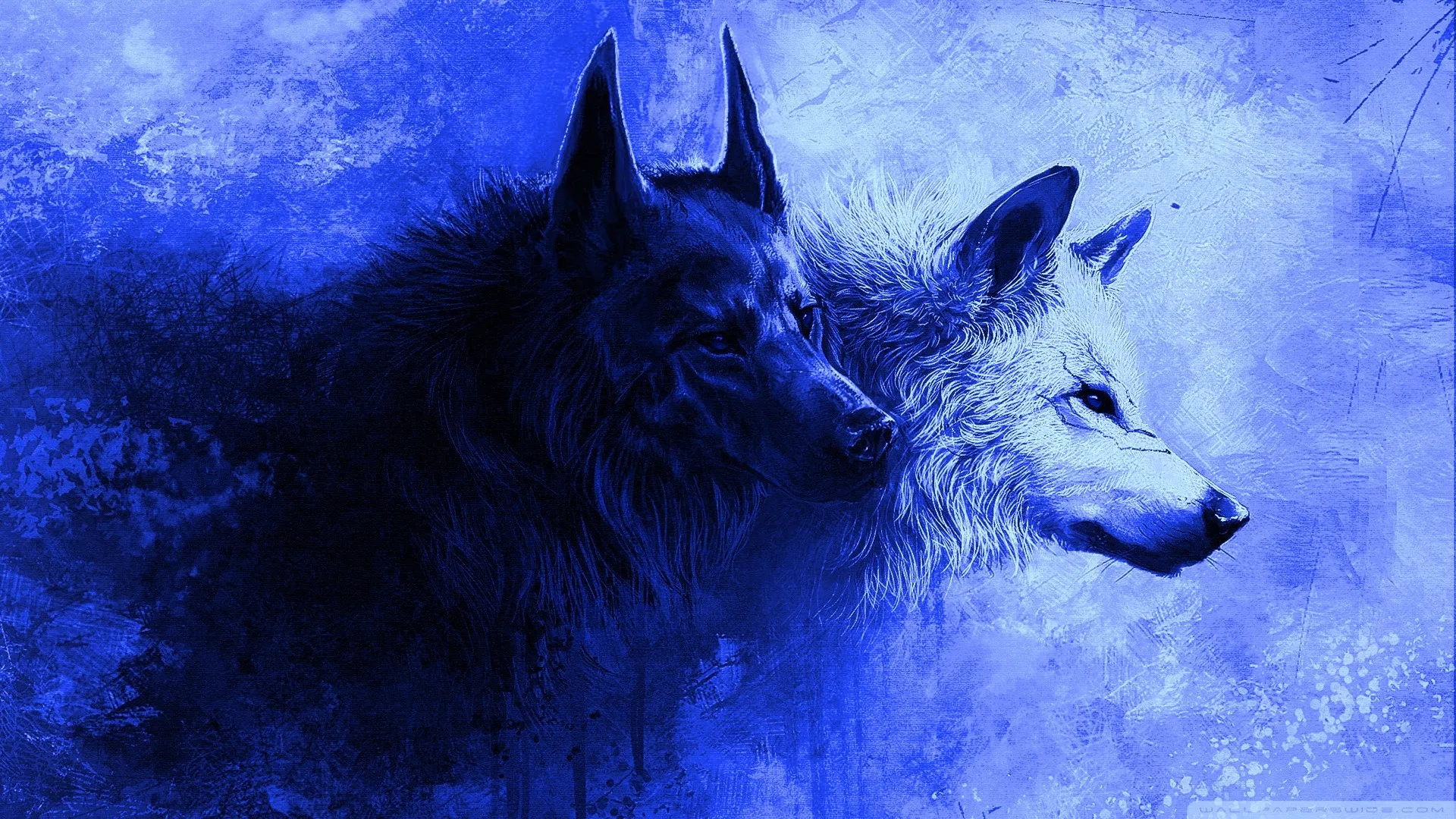 Красивые обои волки