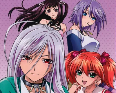 Картинка Rosario to Vampire Аниме картинки