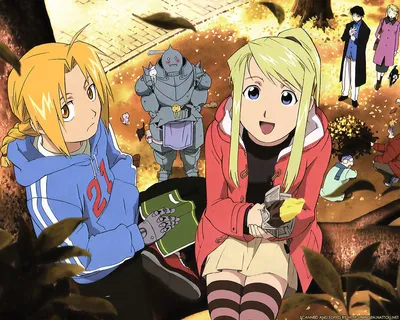 Скачать обои \"Стальной Алхимик (Fullmetal Alchemist)\" на телефон в высоком  качестве, вертикальные картинки \"Стальной Алхимик (Fullmetal Alchemist)\"  бесплатно картинки