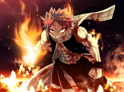 1500+ Anime Fairy Tail HD Wallpapers and Backgrounds картинки