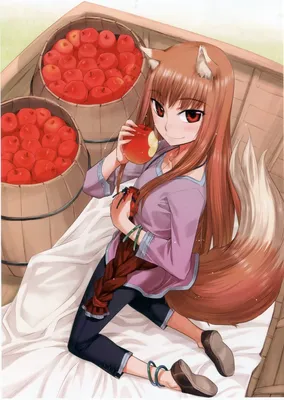 Фото Horo / Хоро ест яблоко из аниме Spice and Wolf / Волчица и пряности картинки