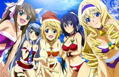 пять аниме девушек из аниме IS: Infinite Stratos ~ Необъятные небеса *  Аниме обои на рабочий стол * аниме категории * Проект - Фуку анима картинки