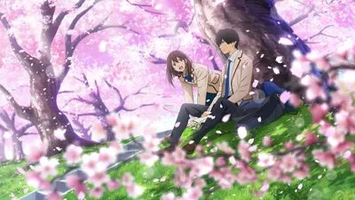 Лучшее аниме о любви (топ-5) | ANIME777 | Дзен картинки