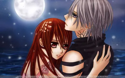 Обои для рабочего стола Vampire Knight Аниме картинки