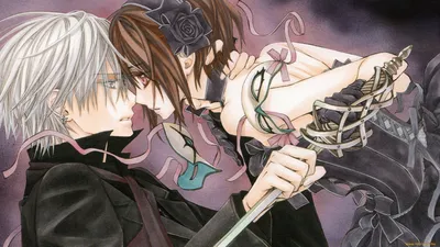 Обои Аниме Vampire Knight, обои для рабочего стола, фотографии аниме,  vampire knight, vampire, knight, седзе, девушка, рыцарь, вампир, юки,  куран, парень Обои для рабочего стола, скачать обои картинки заставки на  рабочий стол. картинки