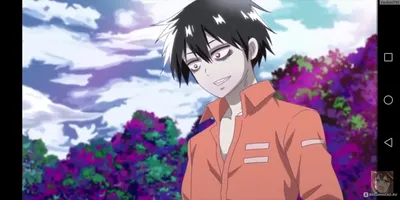 Кровавый парень / Blood Lad (аниме) - «Самое яркое аниме про вампиров и  оборотней) Всего 10 серий полного удовольствия) Вы будете смеятся в  голос))» | отзывы картинки