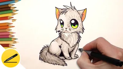 How to Draw a Cat (kitten) anime step by step | Draw a cat anime style -  YouTube картинки