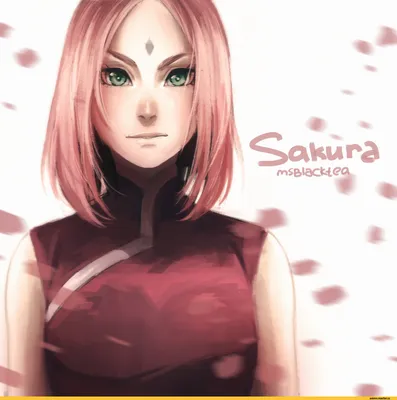 сакура харуно (Сакура Харуно, Haruno Sakura, Sakura) / картинки, гифки,  прикольные комиксы, интересные статьи по теме. картинки