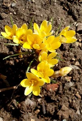 Активный отдых по Украине on Instagram: “Лето пришло, а ты всё дома?  Актовский каньон 28 июня. Красивая природа, активный отдых и отличные фото!  Мы едем в Долину дьявола и…” картинки