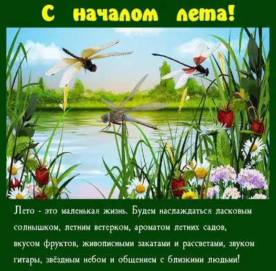 Картинки с надписями. С началом лета! Лето - это маленькая жизнь). картинки