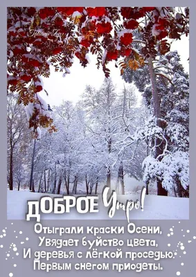 Идеи на тему «Доброе утро» (200) в 2023 г | доброе утро, открытки,  счастливые картинки картинки