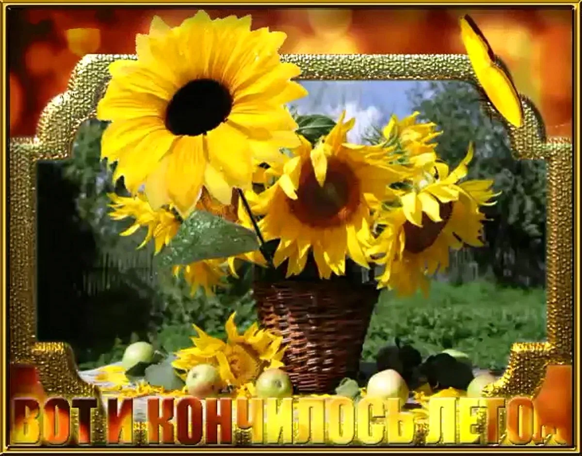 До свидания лето до свидания картинки красивые