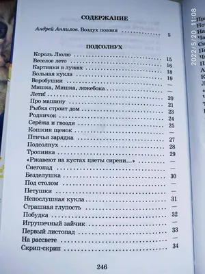 Иллюстрация 34 из 35 для Веселое лето - Валентин Берестов | Лабиринт -  книги. Источник: Ekaterina Фиалковая картинки