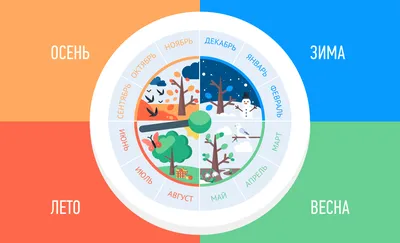 Времена года для детей — как научить ребенка временам года? картинки