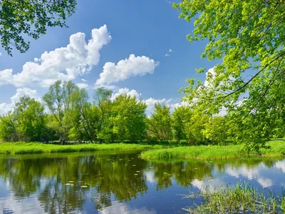 Скачать обои и картинки река, лето, пейзаж, вода, отражение, деревья,  облака для рабочего стола в разрешении 1400x1050 картинки