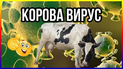 Юмор и приколы про коронавирус и карантин: анекдоты, шутки, статусы,  картинки, видео | Праздник для всех картинки