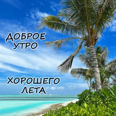 Доброе утро хорошего лета картинки