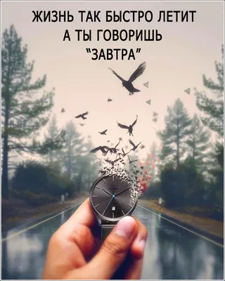 Завтра... | Photography prints art, Emotional photography, Photography  wallpaper картинки