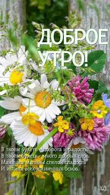 Идеи на тему «Доброе утро лето» (900+) в 2023 г | доброе утро, открытки,  лето картинки